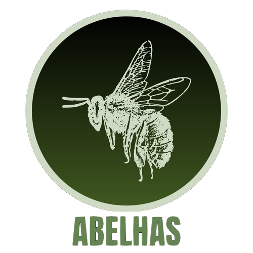 Abelhas