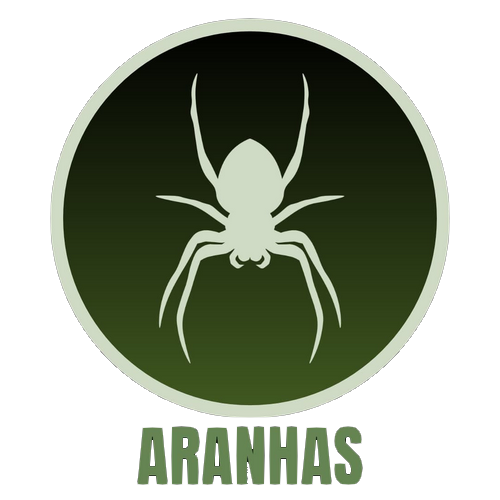 Aranhas