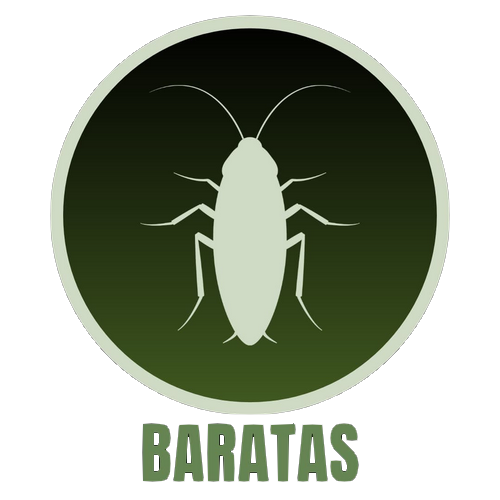 Baratas