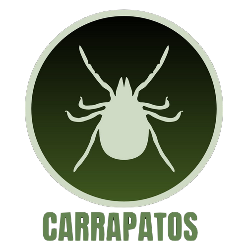 Carrapatos