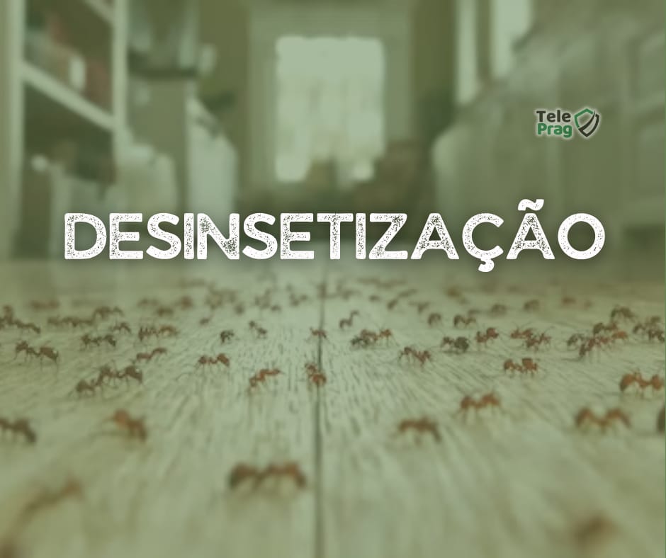 Desinsetização