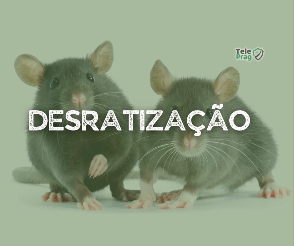 Desratinização