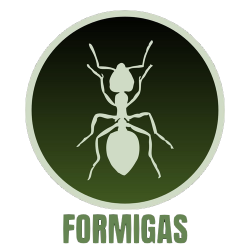 Formigas