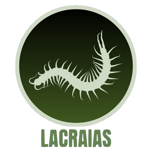 Lacraias