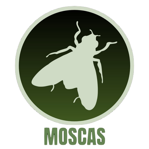 Moscas