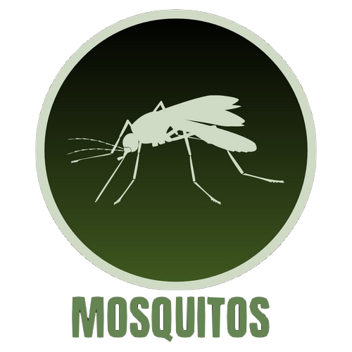 Mosquitos