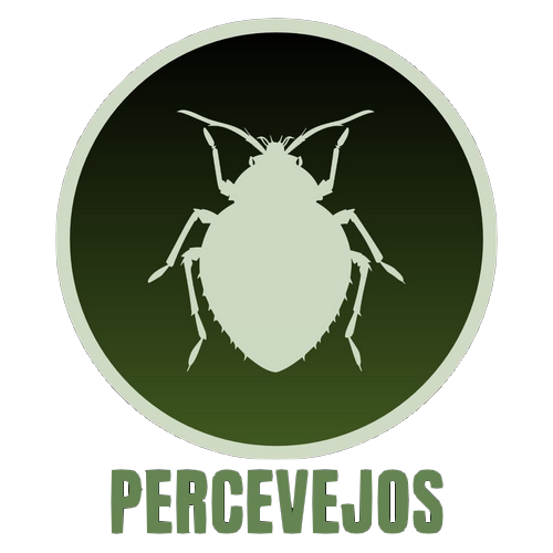 Percevejos