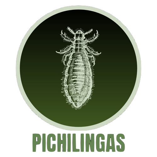 Pichilingas