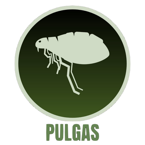 Pulgas