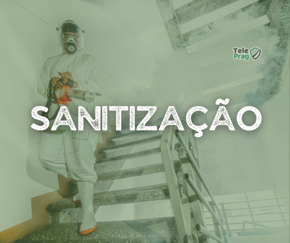 Sanitização
