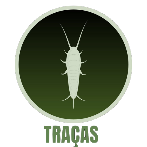 Traças